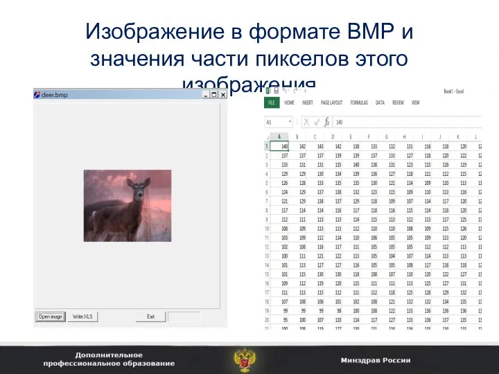Изображение в формате BMP и значения части пикселов этого изображения