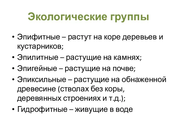 Экологические группы Эпифитные – растут на коре деревьев и кустарников; Эпилитные