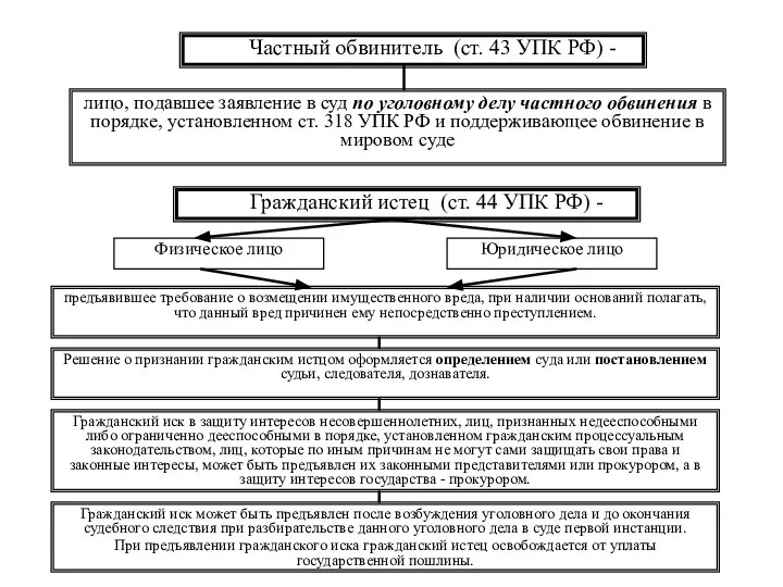 Частный обвинитель (ст. 43 УПК РФ) - лицо, подавшее заявление в