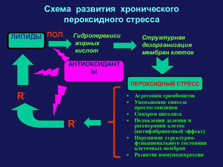 Схема развития хронического пероксидного стресса Агрегация тромбоцитов Уменьшение синтеза простогландинов Синдром