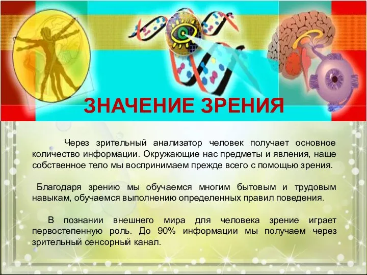 Через зрительный анализатор человек получает основное количество информации. Окружающие нас предметы