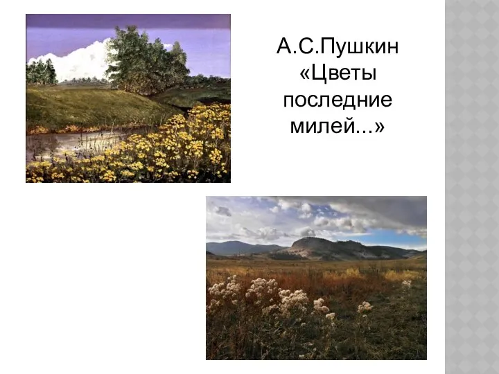 А.С.Пушкин «Цветы последние милей...»