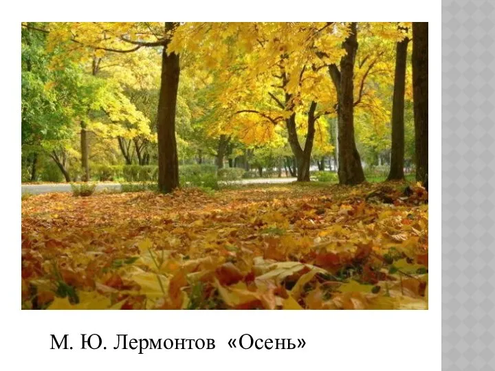 М. Ю. Лермонтов «Осень»