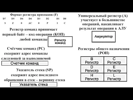 Регистры общего назначения (РОН) Формат регистра признаков (F) Универсальный регистр (А)