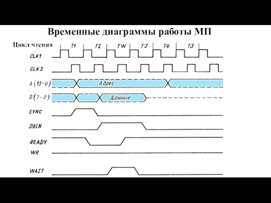 Временные диаграммы работы МП