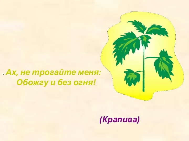 . Ах, не трогайте меня: Обожгу и без огня! (Крапива)