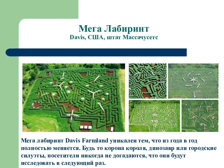 Мега Лабиринт Davis, США, штат Массачусетс Мега лабиринт Davis Farmland уникален