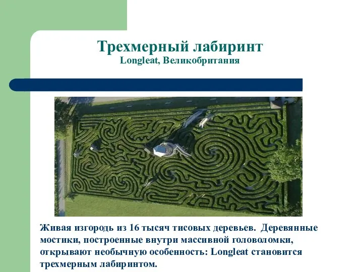 Трехмерный лабиринт Longleat, Великобритания Живая изгородь из 16 тысяч тисовых деревьев.