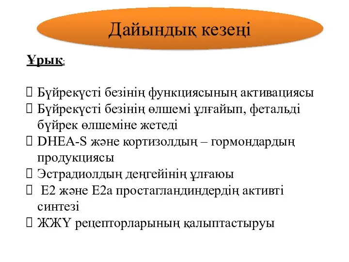 Дайындық кезеңі Ұрық: Бүйрекүсті безінің функциясының активациясы Бүйрекүсті безінің өлшемі ұлғайып,