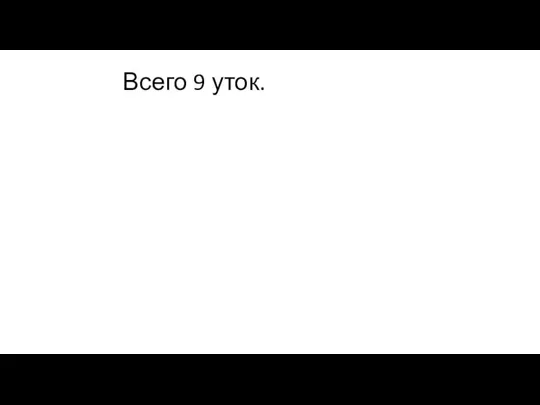 Всего 9 уток.