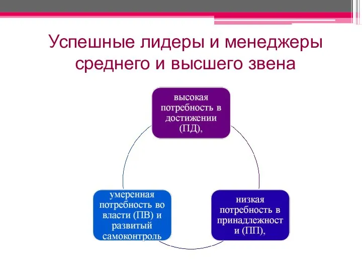 Успешные лидеры и менеджеры среднего и высшего звена