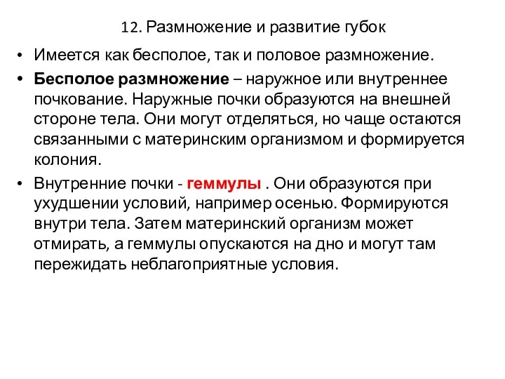 12. Размножение и развитие губок Имеется как бесполое, так и половое