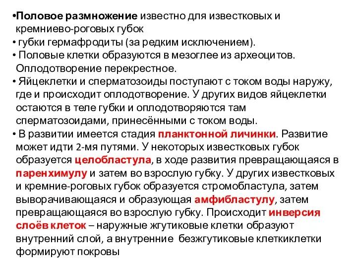 Половое размножение известно для известковых и кремниево-роговых губок губки гермафродиты (за