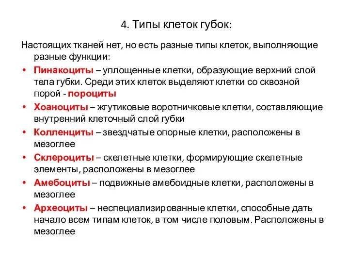 4. Типы клеток губок: Настоящих тканей нет, но есть разные типы