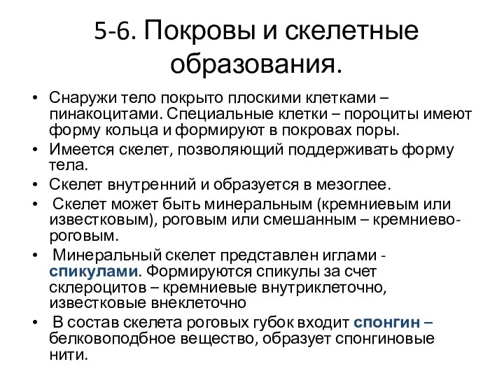 5-6. Покровы и скелетные образования. Снаружи тело покрыто плоскими клетками –