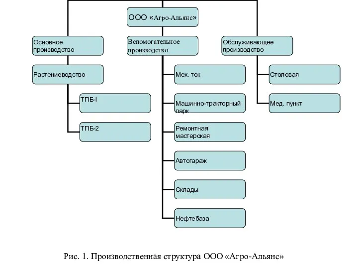 Рис. 1. Производственная структура ООО «Агро-Альянс»