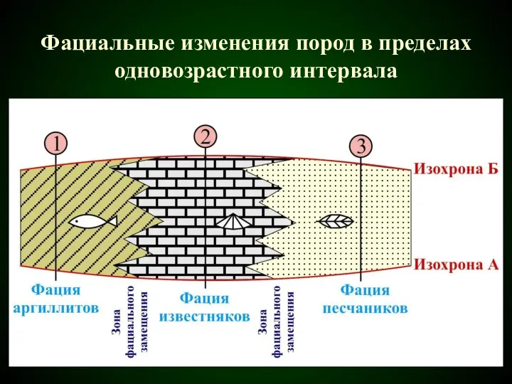 Фациальные изменения пород в пределах одновозрастного интервала