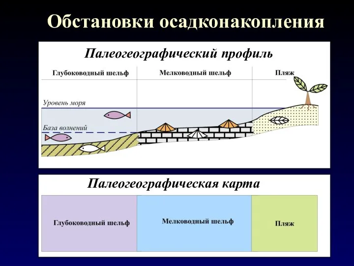 Обстановки осадконакопления Палеогеографический профиль Палеогеографическая карта