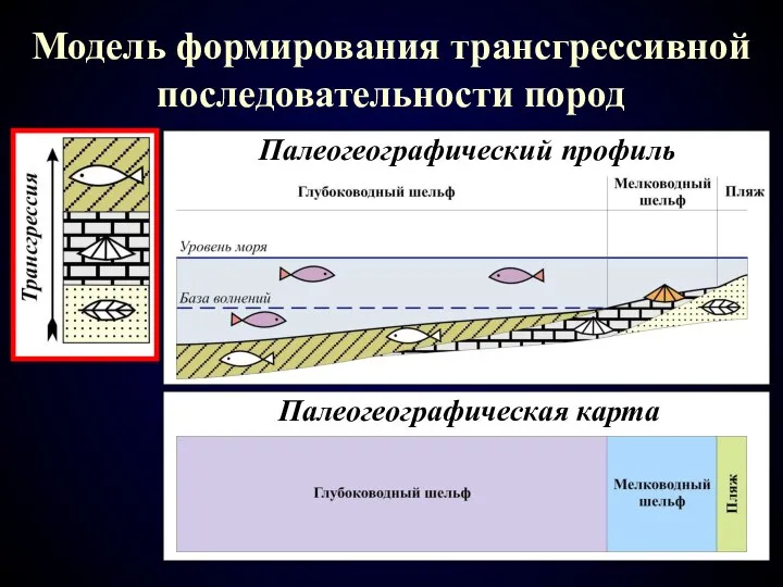 Модель формирования трансгрессивной последовательности пород Палеогеографический профиль Палеогеографическая карта