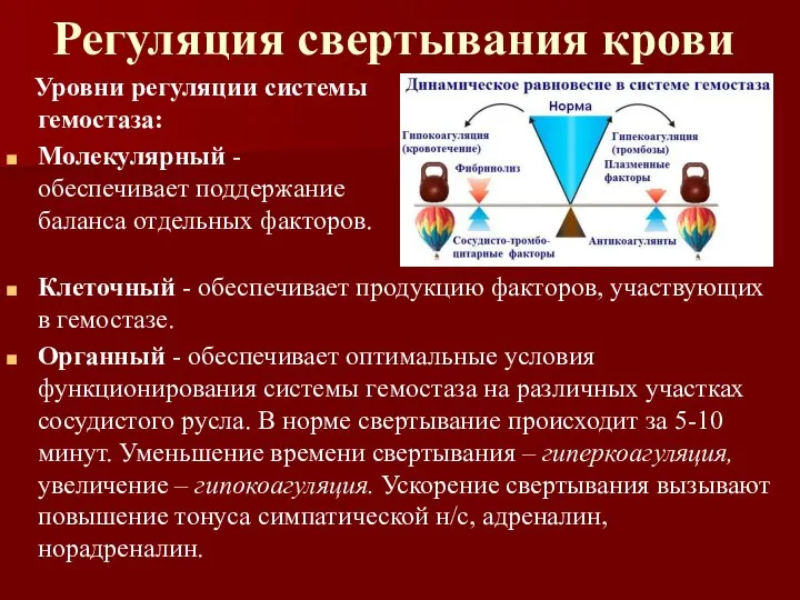 Регуляция свертывания крови Уровни регуляции системы гемостаза: Молекулярный - обеспечивает поддержание