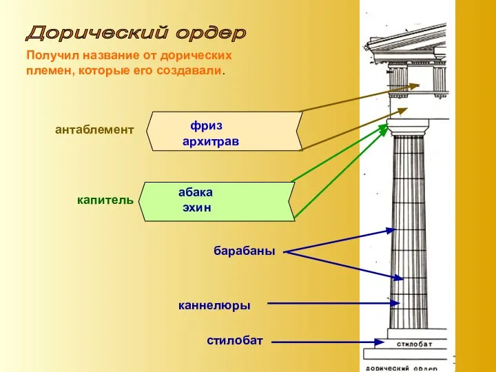 Дорический ордер Получил название от дорических племен, которые его создавали. стилобат