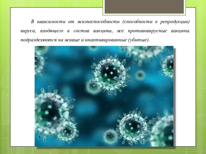 В зависимости от жизнеспособности (способности к репродукции) вируса, входящего в состав