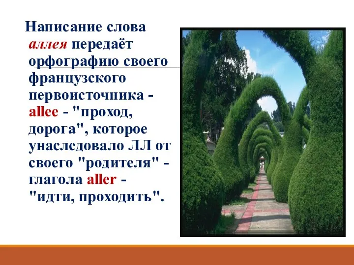 Написание слова аллея передаёт орфографию своего французского первоисточника - allee -