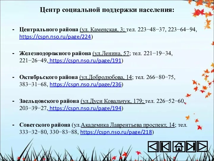 Центр социальной поддержки населения: Центрального района (ул. Каменская, 3; тел. 223−48−37,