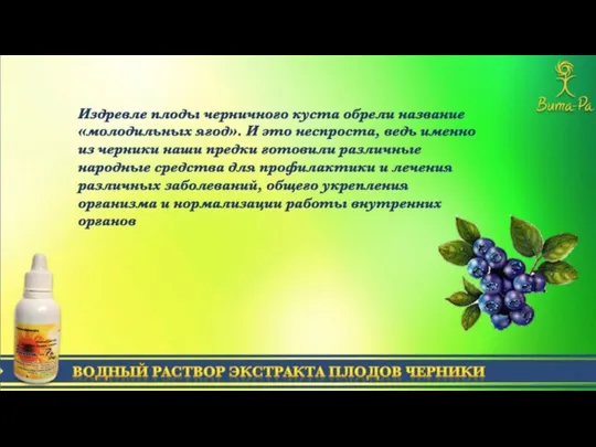 ВОДНЫЙ РАСТВОР ЭКСТРАКТА ПЛОДОВ ЧЕРНИКИ Издревле плоды черничного куста обрели название