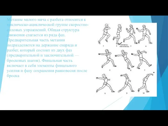 Метание малого мяча с разбега относится к циклическо-ациклической группе скоростно-силовых упражнений.