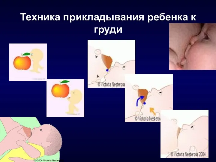 Техника прикладывания ребенка к груди