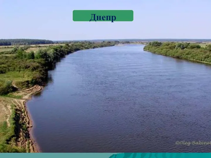 Внутренние воды Самые крупные реки Днепр с притоками; Неман и Западная