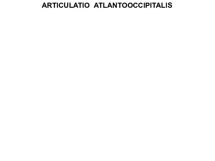 ARTICULATIO ATLANTOOCCIPITALIS