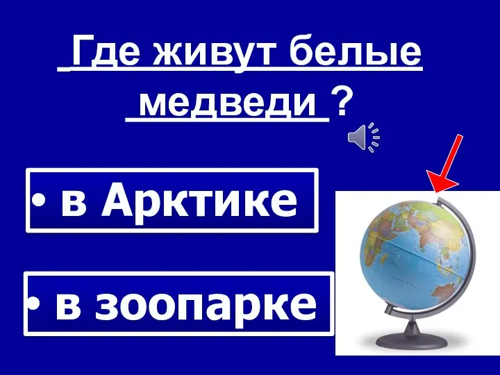 Где живут белые медведи ? в Арктике в зоопарке