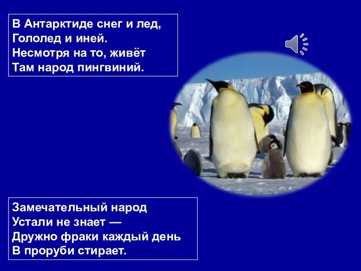 В Антарктиде снег и лед, Гололед и иней. Несмотря на то,