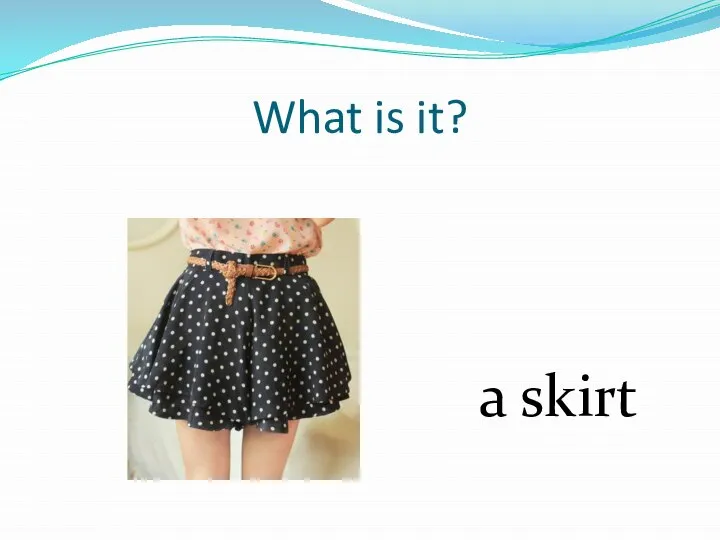 What is it? a skirt