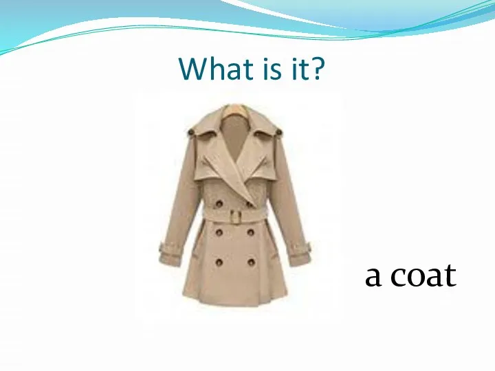 What is it? a coat