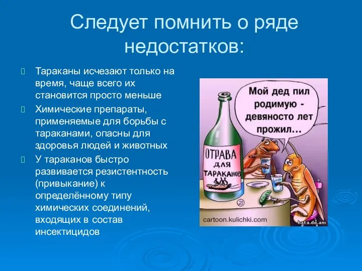 Следует помнить о ряде недостатков: Тараканы исчезают только на время, чаще