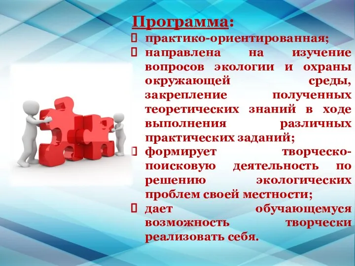 Программа: практико-ориентированная; направлена на изучение вопросов экологии и охраны окружающей среды,