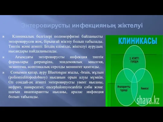 Энтеровирусты инфекцияның жіктелуі Клиникалық белгілері полиморфизмі байланысты энтеровирусов жоқ, бірыңғай жіктеу