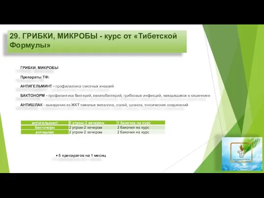 29. ГРИБКИ, МИКРОБЫ - курс от «Тибетской Формулы» ГРИБКИ, МИКРОБЫ Препараты