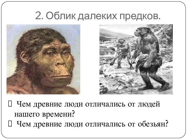 2. Облик далеких предков. Чем древние люди отличались от людей нашего