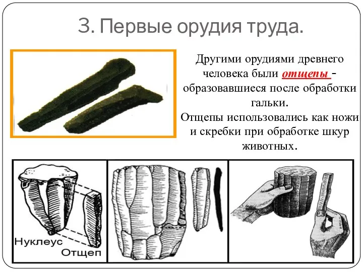 3. Первые орудия труда. Другими орудиями древнего человека были отщепы -