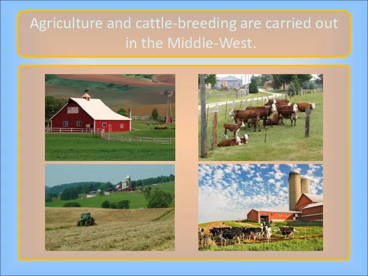 Agriculture and cattle-breeding are carried out in the Middle-West.