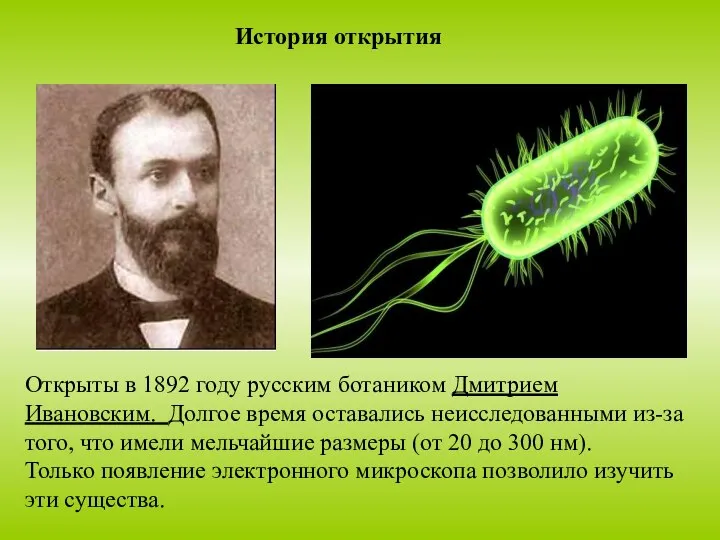 История открытия Открыты в 1892 году русским ботаником Дмитрием Ивановским. Долгое