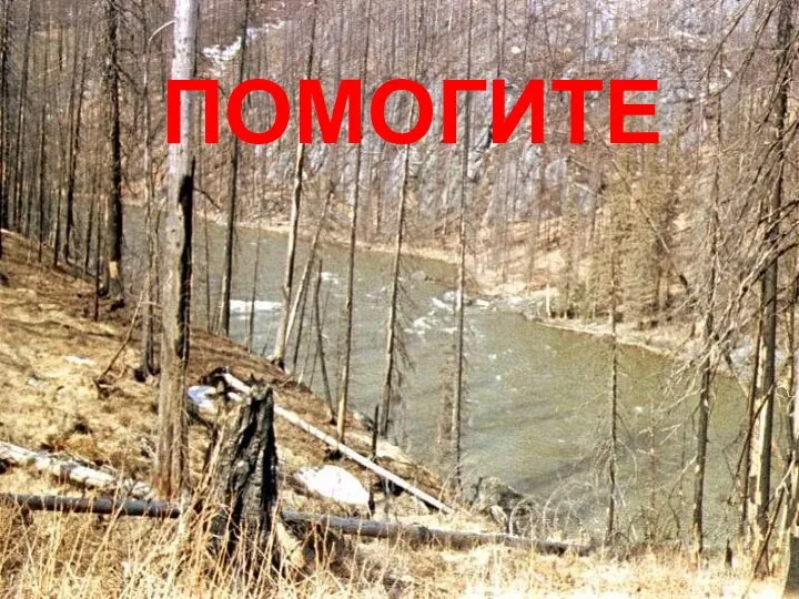 ПОМОГИТЕ