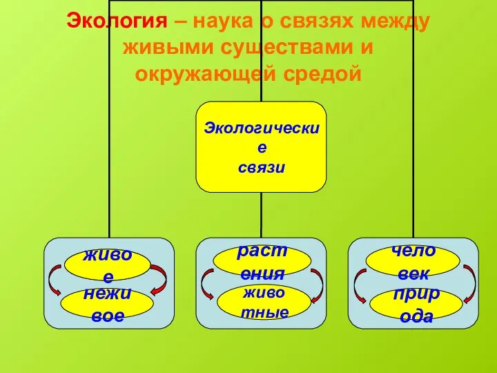 Экология – наука о связях между живыми существами и окружающей средой