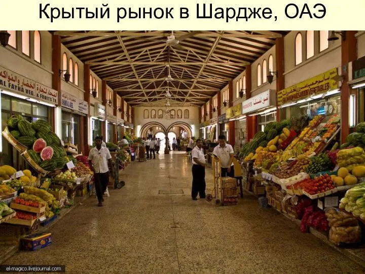 Крытый рынок в Шардже, ОАЭ