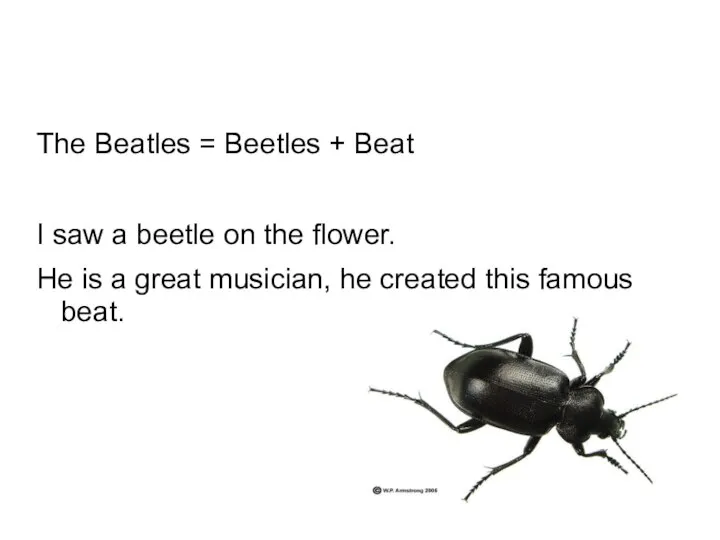 The Beatles = Beetles + Beat I saw a beetle on