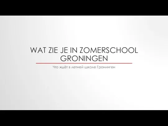 WAT ZIE JE IN ZOMERSCHOOL GRONINGEN Что ждёт в летней школе Гронинген